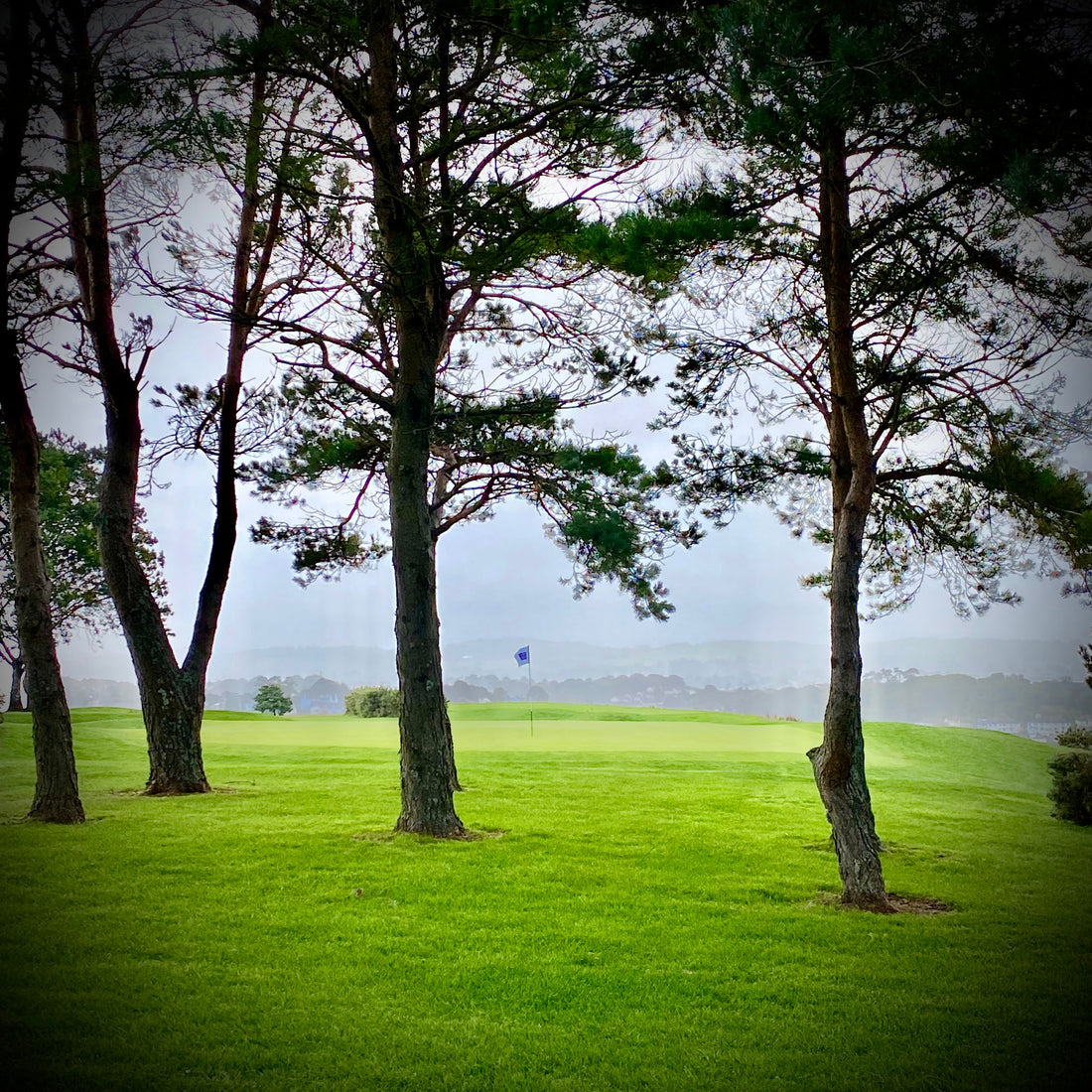 Discovering Torquay Golf Club: A Devon Gem