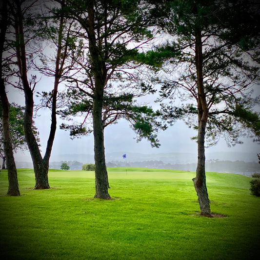 Discovering Torquay Golf Club: A Devon Gem